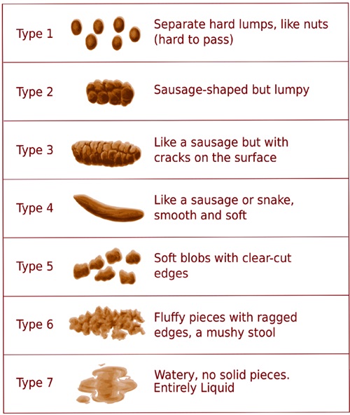 Bristol Stool Form Scale | Innerstrength Healthcare